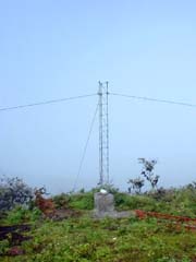 Tower