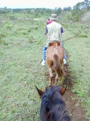 Trail