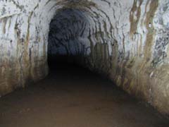 Trail
