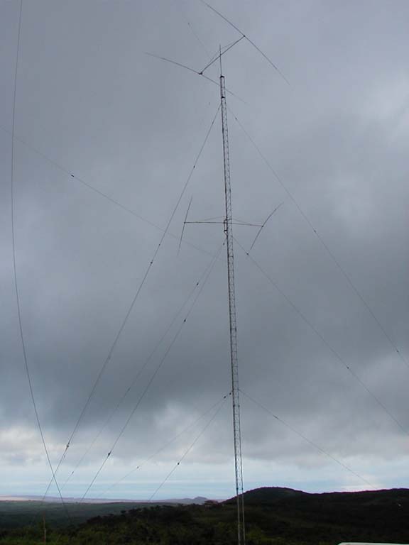 P2050019