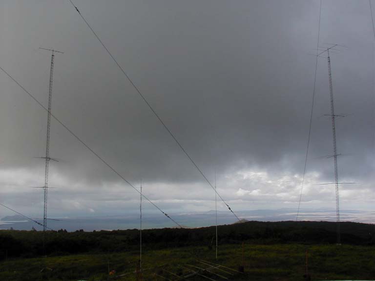P2050020