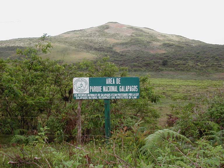 P2060041