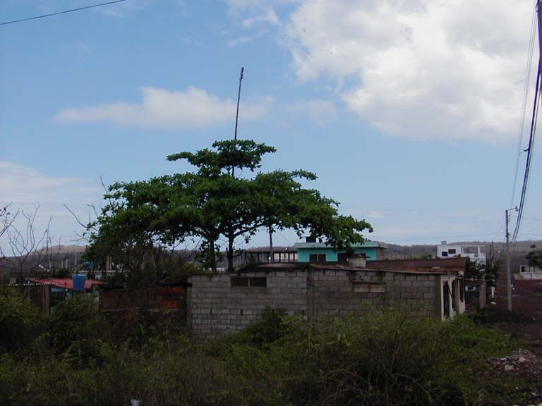 P2070046