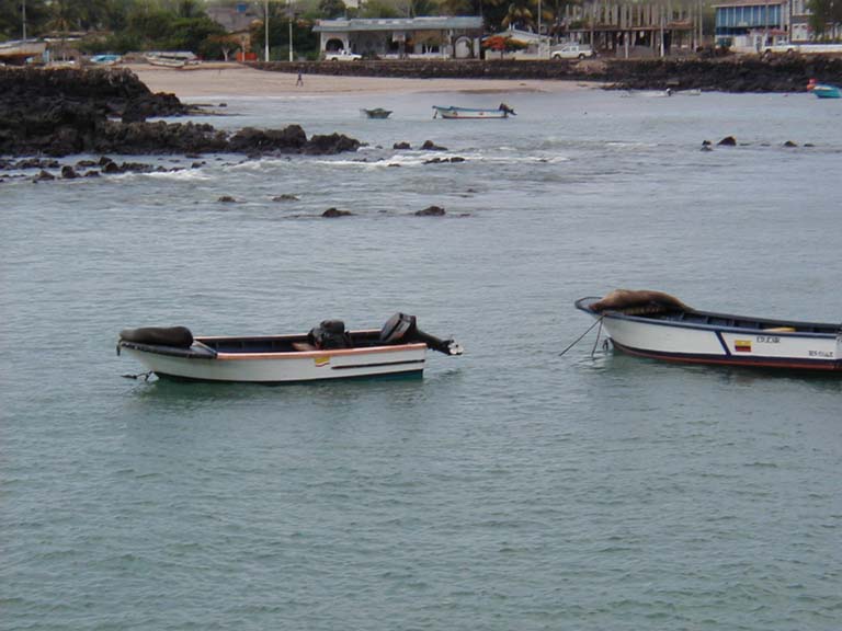 P2120081