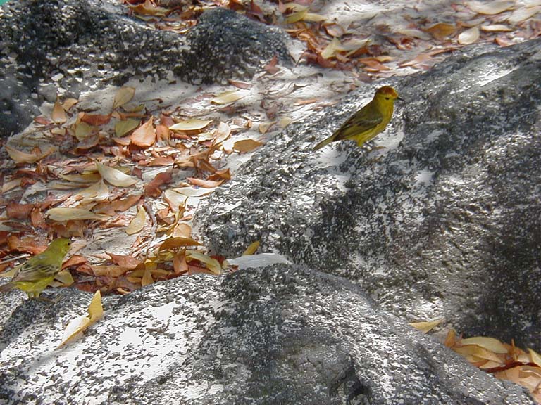 P2130091