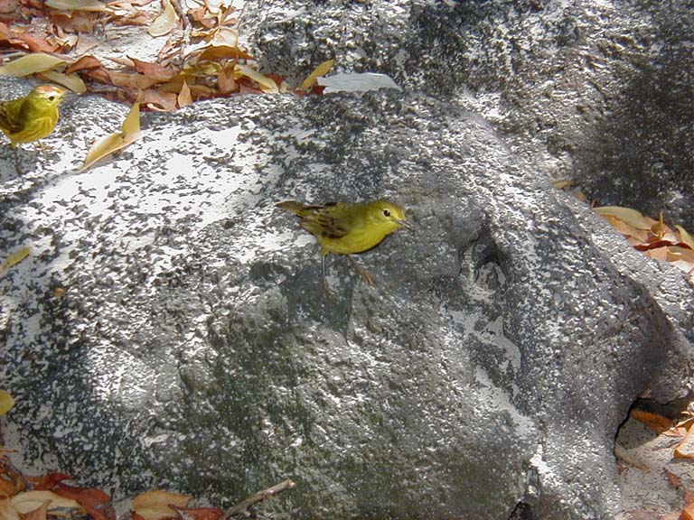 P2130093