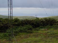 P2050014