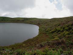 P2060033