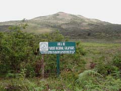 P2060041
