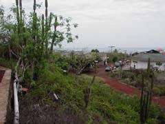 P2120077