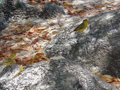 P2130091