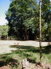 P2130094