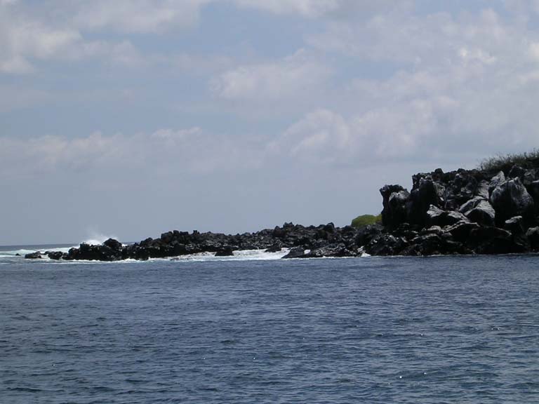 DSCN0041