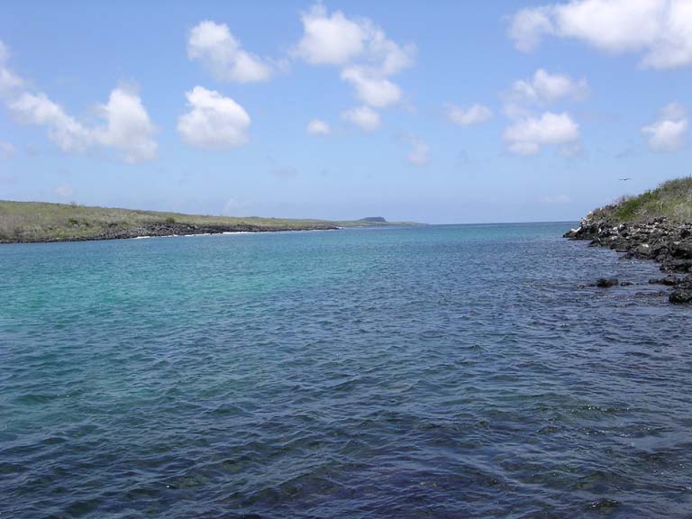 DSCN0048