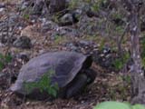 DSCN0032