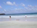 DSCN0036