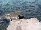 DSCN0047