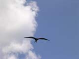DSCN0051