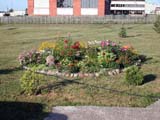 DSCN0806