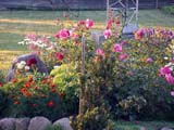 DSCN0824