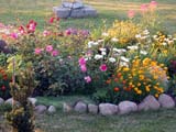 DSCN0828