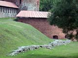 DSCN0842