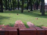 DSCN0856