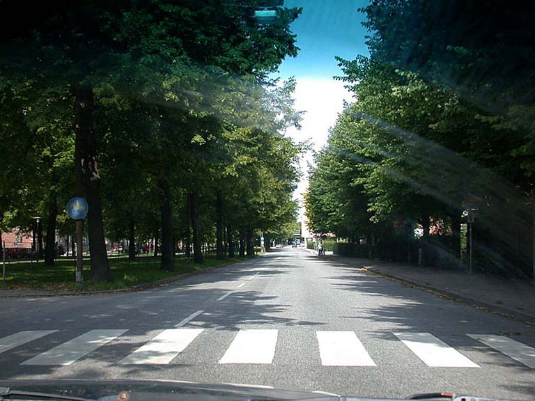 DSCN0568