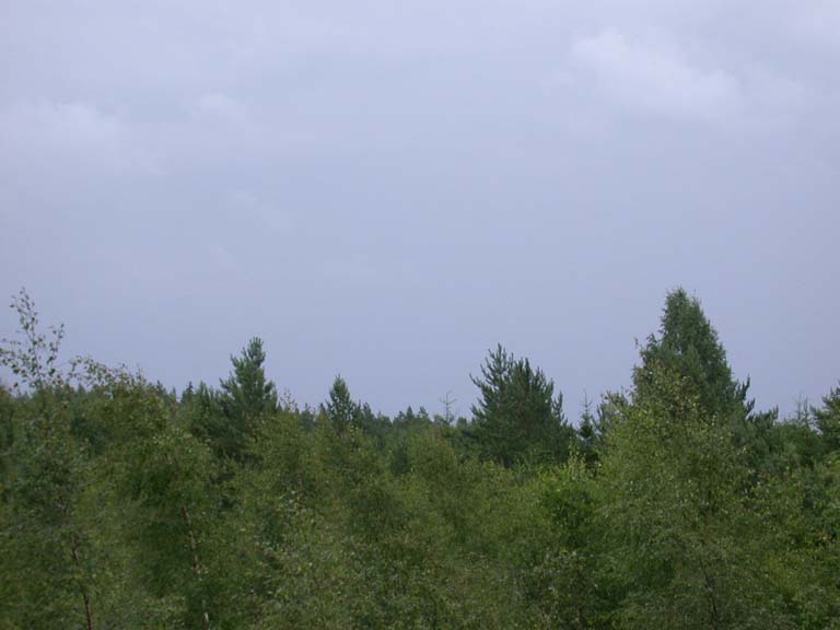 DSCN0590