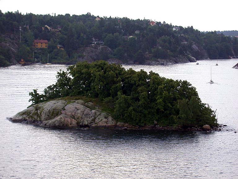 DSCN0647