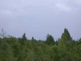 DSCN0590