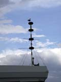 DSCN0654